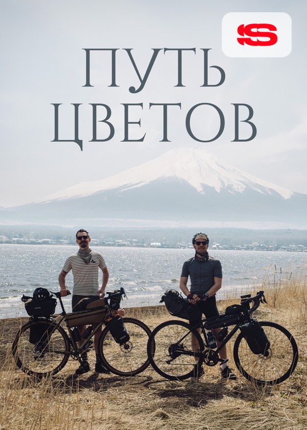 Путь цветов Путь цветов